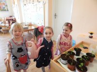 Bawimy się w ogrodników